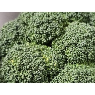 Brocoli