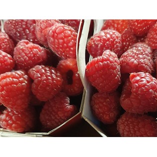 Framboise 125G